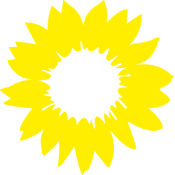 sonnenblume