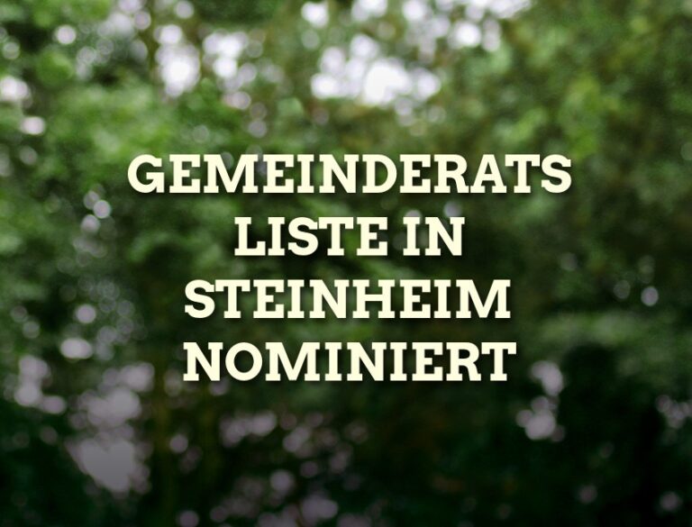 Gemeinderatsliste in Steinheim nominiert