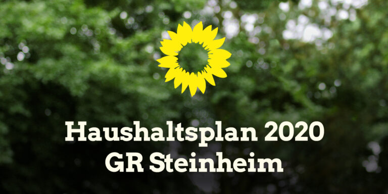 Haushaltsrede – GR Steinheim