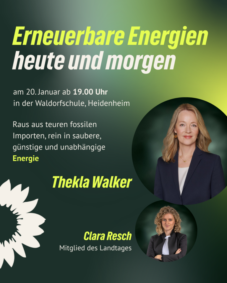 Erneuerbare Energien – heute und morgen